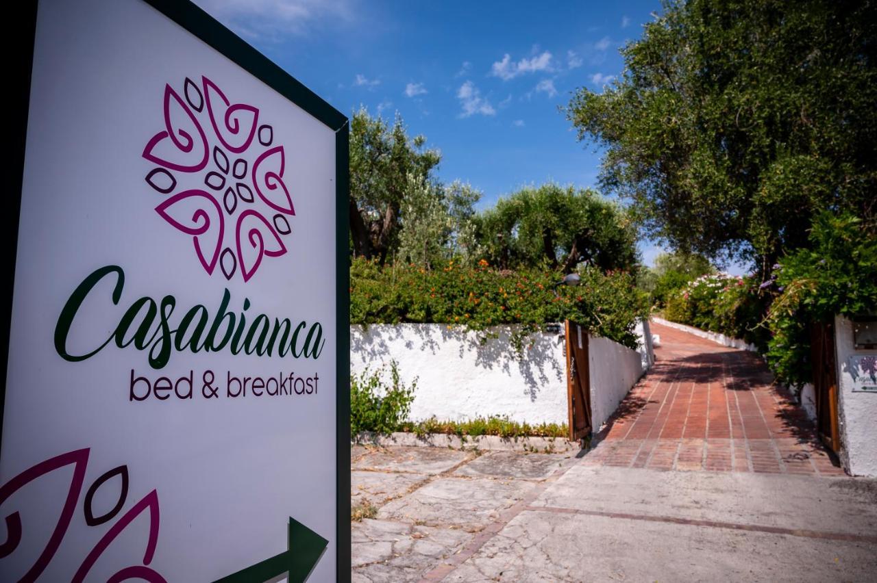 B&B Casabianca Palinuro Ngoại thất bức ảnh