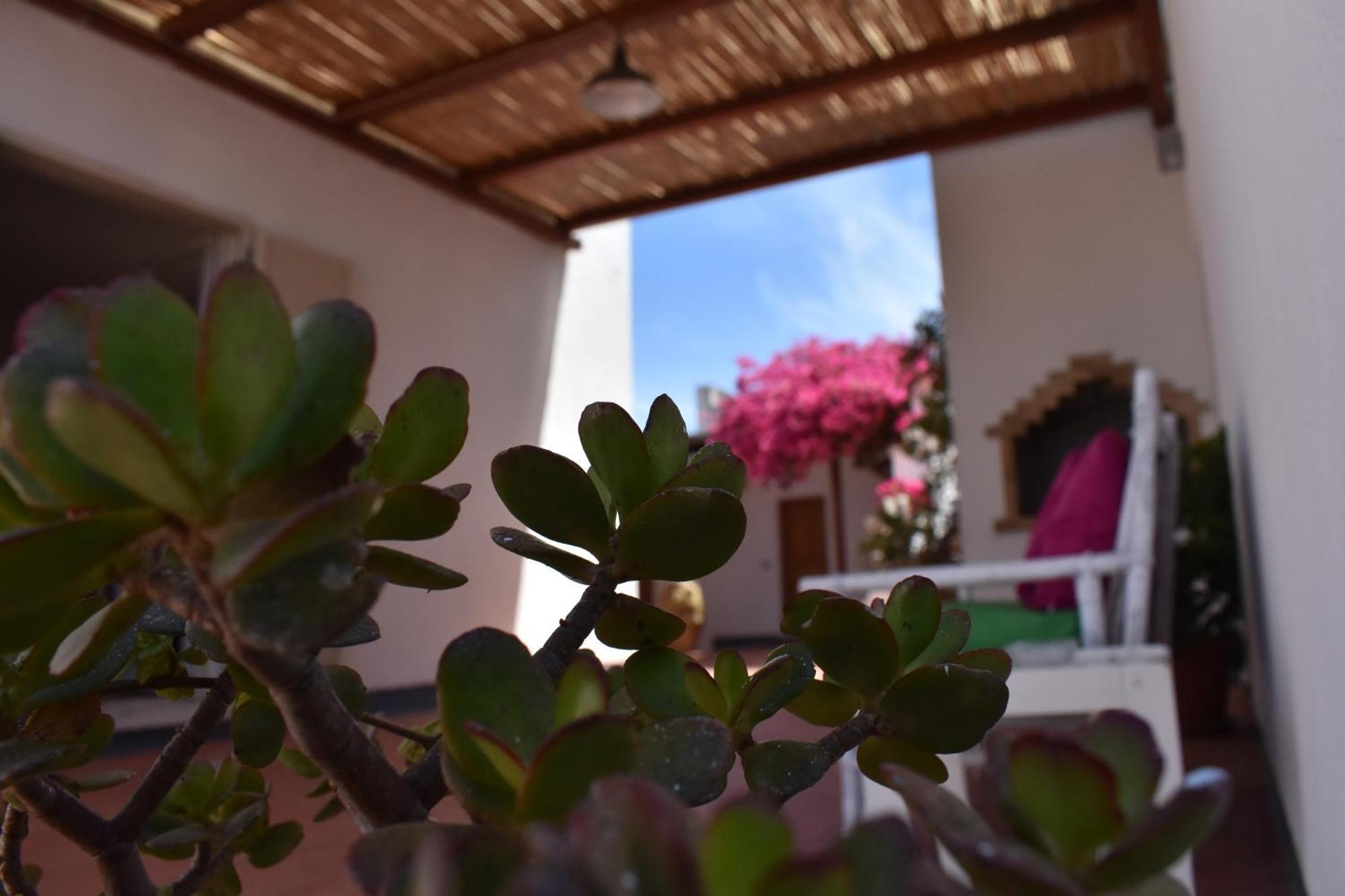 B&B Casabianca Palinuro Ngoại thất bức ảnh