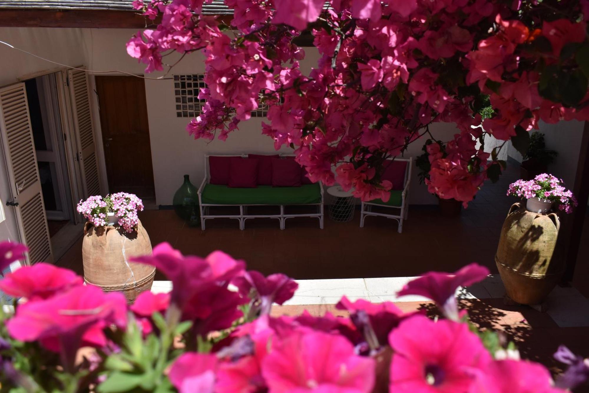 B&B Casabianca Palinuro Ngoại thất bức ảnh