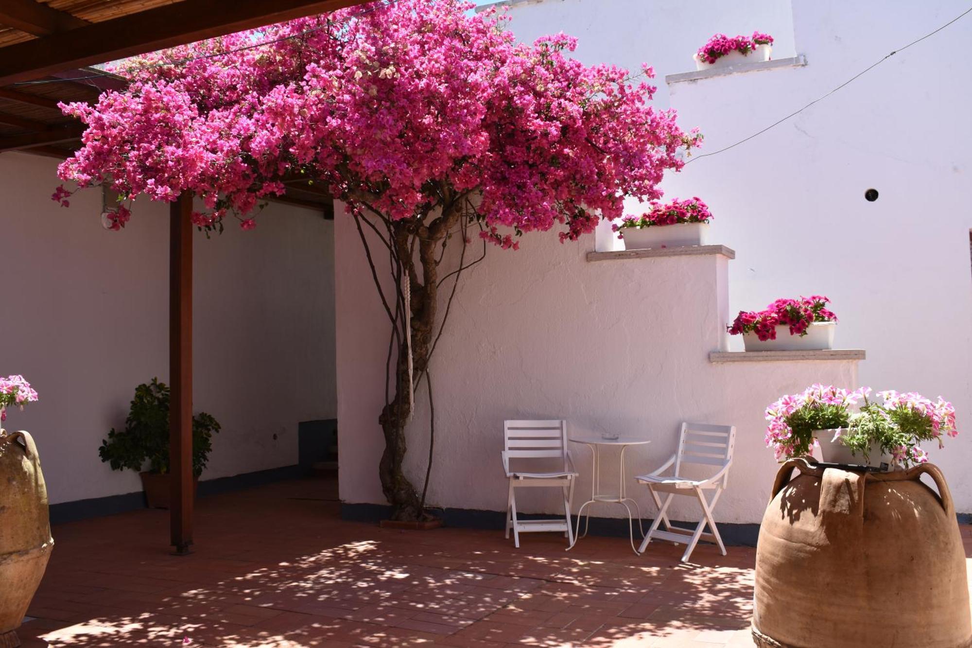 B&B Casabianca Palinuro Ngoại thất bức ảnh